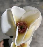 Hoa Giả - Hoa Mộc Lan 3 Bông 80 Cm