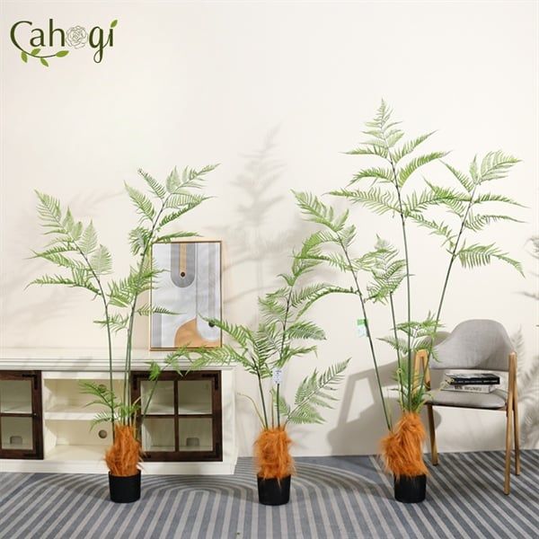 Cây Giả - Cây Dương Xỉ Giả - Dương Xỉ Lông Cu Li Nhiều Kích Thước trang trí văn phòng 90 -120-160-