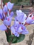 Hoa Giả-Hoa Mộc Lan Lụa 5 Nhánh 45 Cm Xanh Dương Nhạt