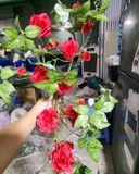 Dây Leo-Dây Leo Hoa Hồng 140Cm Nhiều Màu
