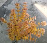 Cây Giả - Cây Rong La Hán 7 Nhánh 35 Cm