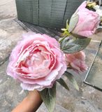 Hoa Giả-Hoa Mẫu Đơn 2 Bông 1 Nụ 70 Cm Hồng Nhạt