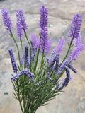 Cây Giả-Cây Oải Hương Lavender 12 Nhánh 40cm