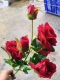 Hoa Giả - Hoa Hồng 4 Bông 2 Nụ 65Cm Màu Đỏ