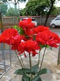 Hoa Giả-Hoa Cẩm Chướng 9 Bông 45cm