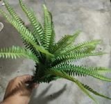 Cây Giả - Cây Dương Xỉ 22 Lá 40 Cm