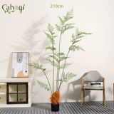 Cây Giả - Cây Dương Xỉ Giả - Dương Xỉ Lông Cu Li 90 – 120 -160-180-210 Cm
