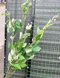 Cây Giả-Cây Lộc 5 Nhánh 80Cm