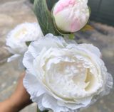Hoa Giả-Hoa Mẫu Đơn 2 Bông 1 Nụ 70 Cm Trắng