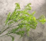 Cây Giả - Cành Cây Cỏ Đồng Tiền 5 Nhánh 90 Cm