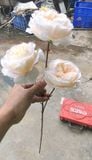 Hoa giả-Hoa Mao Lương 3 bông 70cm Vàng Nhạt