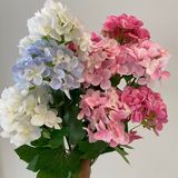 Hoa Giả Hoa Cẩm Tú Cầu 3 Bông Vải