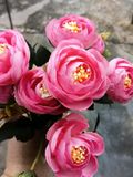 Hoa Giả-Hoa Hồng Trà Vải 6 Bông 30cm