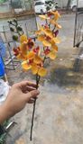 Hoa Giả- Lan Hồ Điệp 2 Nhánh 60cm