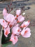 Hoa Giả-Hoa Mộc Lan Lụa 5 Nhánh 45 Cm Hồng Phớt