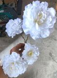 Hoa Giả-Hoa Thược Dược 4 Bông 80 Cm Trắng