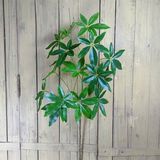 Cành Cây Giả Phát Tài Kim Ngân 90 Cm