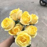 Hoa Giả-Hoa Hồng Vàng Chùa 7 Bông