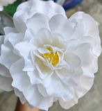 Hoa Giả-Hoa Thược Dược 4 Bông 80 Cm Trắng