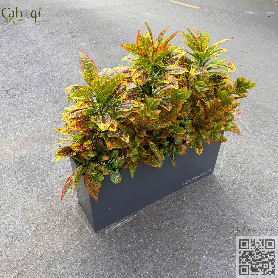Thi Công Bồn Cây Vàng Anh Giả Trang Trí Văn Phòng 3