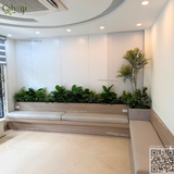 Thi Công Bồn Cây Giả Trang Trí Phòng Khám Nha Khoa Tại Hà Nội