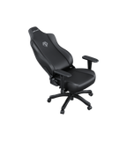  Ghế Gaming AndaSeat Novis Black PVC AD23-L-01-B-PV 