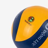  Bóng chuyền hơi hoa xoáy DL250 