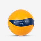  Bóng chuyền hơi hoa xoáy DL250 