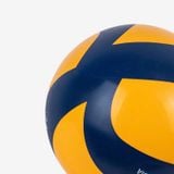  Bóng chuyền hơi hoa xoáy DL250 
