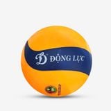  Bóng chuyền hơi hoa xoáy DL200 
