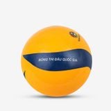  Bóng chuyền hơi hoa xoáy DL250 