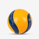  Bóng chuyền hơi hoa xoáy DL200 