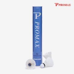 Hộp cầu lông tập luyện PR-640