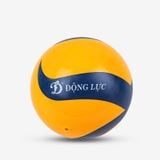  Bóng chuyền hơi hoa xoáy DL250 