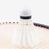  Hộp cầu lông tập luyện PR-640 