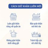  Bộ 3 Khăn Mollis Cotton Gồm 1 Khăn Tắm B865 và 1 Khăn Gội/Mặt FM61 và 1 Khăn Tay HM50 Cao Cấp Mềm Mịn Thấm Hút PC40 