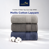  Combo 3 Khăn Tay Cao Cấp Cotton Lapyarn Mollis Mềm Mịn Thấm Hút Không Ra Màu Không Xù Đồ Lông phù Hợp Cho Gia Đình, Du Lịch, Thể Thao HM8V 