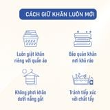  Combo 3 Khăn Gội/Mặt Cao Cấp Mollis Cotton Mềm Mịn Thấm Hút Tốt Không Ra Màu Không Xù Đồ Lông Phù Hợp Cho Gia Đình, Khách Sạn, Du Lịch Và Thể Thao FM8Z-PC18 