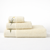  Combo 3 Khăn Gội/Mặt Mollis Soybean 34x80cm Khăn Cao Cấp Sợi Đậu Nành Nuôi Dưỡng Làn Da Mịn Thoáng Thấm Hút Không Xù Đổ Lông FMD4 - PH34 