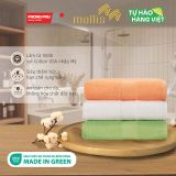  Combo 3 Khăn Gội/Mặt Mollis Cotton 40x75cm Khăn Cao Cấp Mềm Mịn Thấm Hút Không Ra Màu Không Xù Đồ Lông Gia Đình Spa Khách Sạn FM61 - PG79 