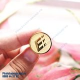 HUY HIỆU CÀI ÁO MẠ VÀNG