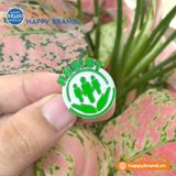 Huy hiệu - ASSIST