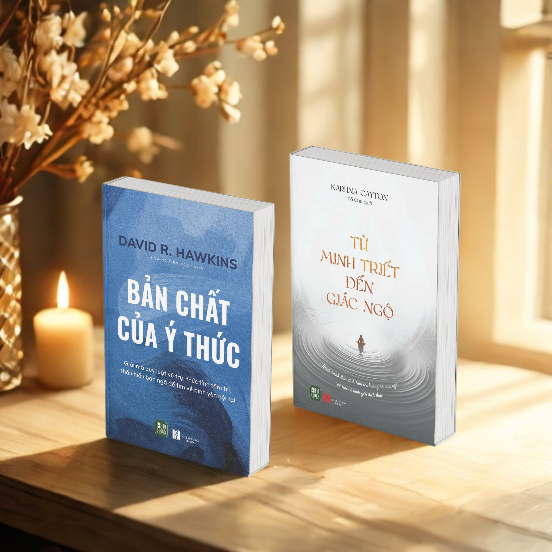  Combo 2 cuốn sách Bản chất của ý thức + Từ minh triết đến giác ngộ 