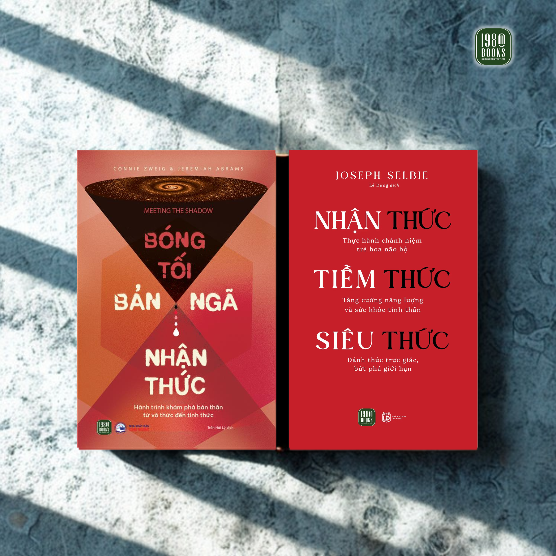  Combo 2 cuốn sách Bóng tối - Bản ngã - Nhận thức + Nhận thức - Tiềm thức - Siêu thức 