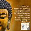  Combo 2 cuốn Nuôi con bằng chánh niệm & Cha mẹ khai vấn - con tỉnh thức 