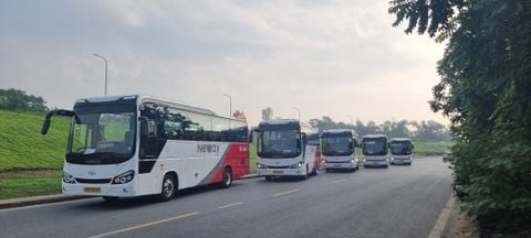 DW Golble Star (33 chỗ)