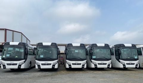 Thaco Bluesky 2024 (45 chỗ)