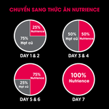  NT Subzero cho Chó - Thịt bò, thịt cừu, lợn rừng, cá hồi, cá tuyết và rau củ quả tự nhiên (Cho mọi giống chó ở mọi lứa tuổi) 