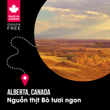  NT Subzero cho Chó - Thịt bò, thịt cừu, lợn rừng, cá hồi, cá tuyết và rau củ quả tự nhiên (Cho mọi giống chó ở mọi lứa tuổi) 