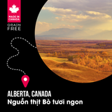  NT Subzero cho Mèo - Thịt bò, thịt cừu, lợn rừng, cá hồi, cá tuyết (Cho mọi giống mèo ở mọi lứa tuổi) 